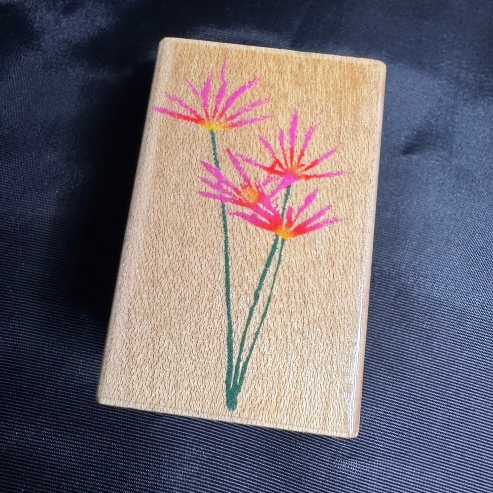 Stampin Up Stamp C2830 Real Wild Aster Wood Mount Rubber Floral Botanical Paper
